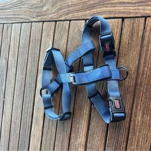 Kong dog harness